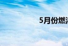 5月份燃油车销量暴跌