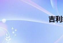 吉利缤瑞敞篷