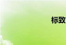 标致508销量