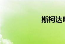 斯柯达明锐2014款