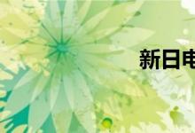 新日电动车图片
