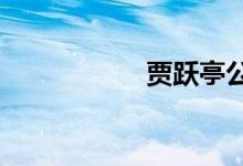 贾跃亭公布FF好消息