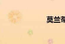 莫兰蒂台风几级