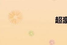 超豪华房车