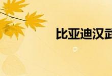 比亚迪汉武大帝正式亮相
