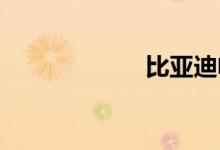 比亚迪电动车价格