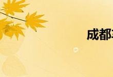 成都车展图片