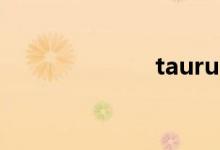 taurus什么意思