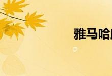 雅马哈摩托车图片