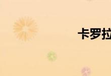 卡罗拉 倒车雷达